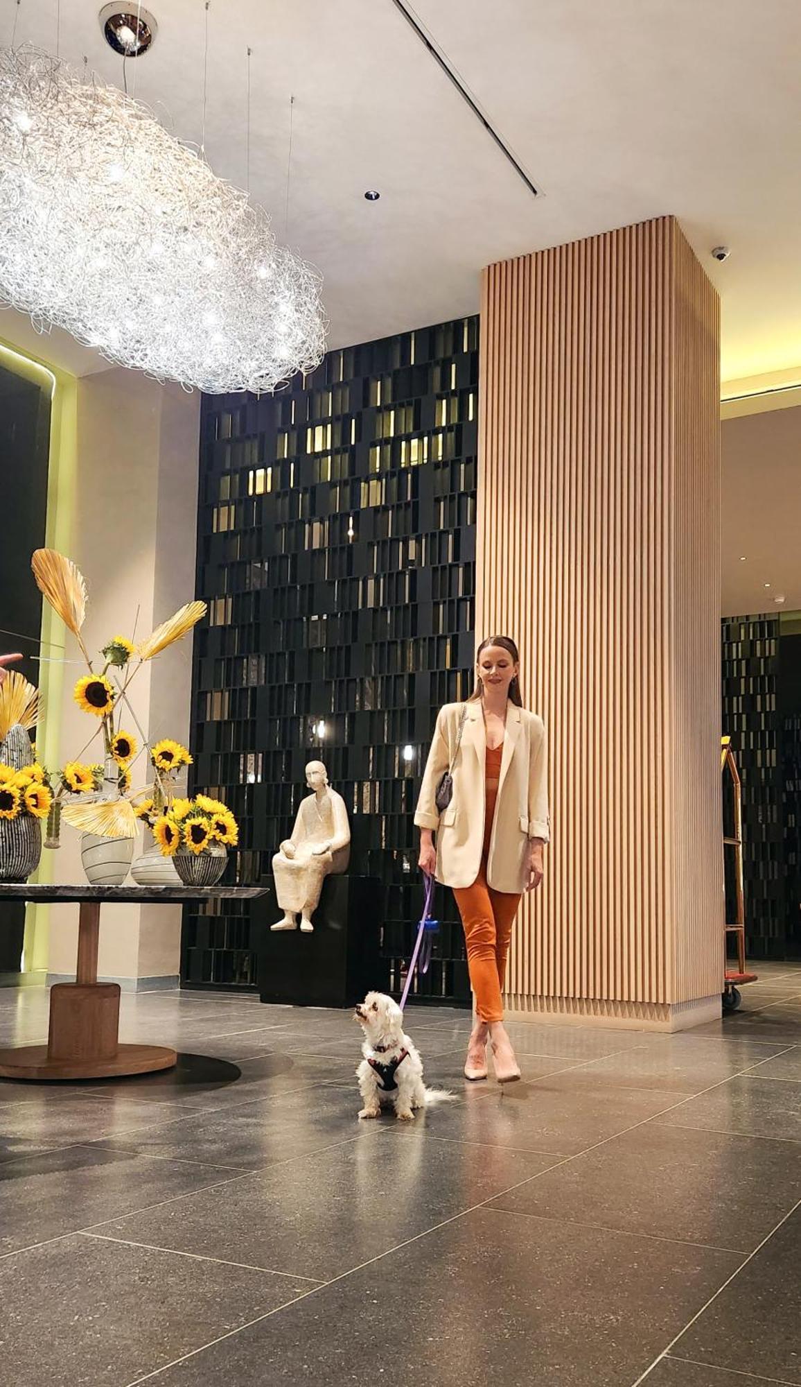 Hyatt Regency Mexico City Insurgentes Wtc 외부 사진